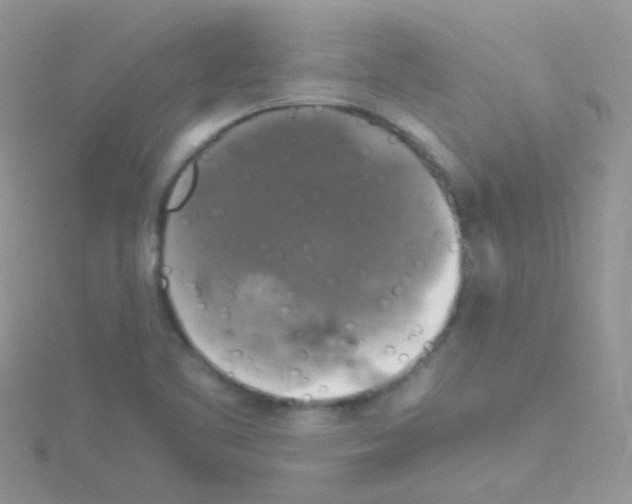 X0000114391461200911271449