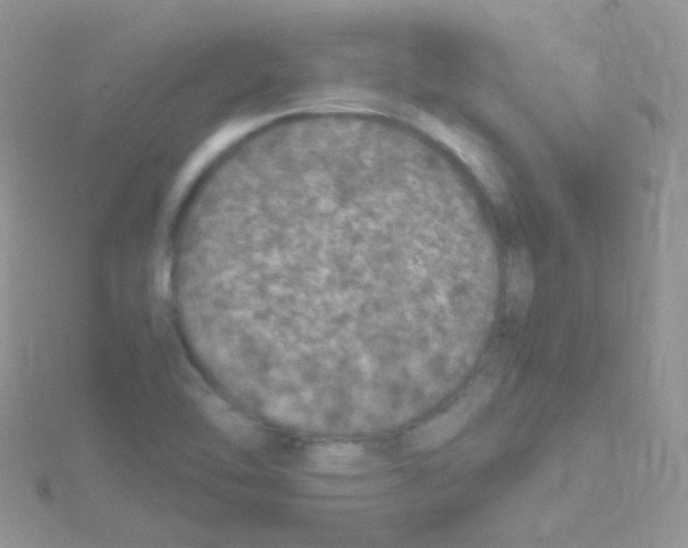 X0000114391462200911271449