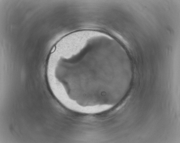 X0000114391463200911271449