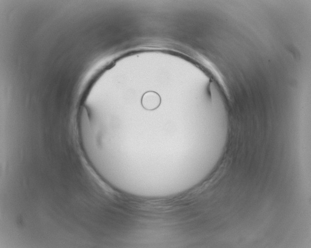 X0000114391464200911271449