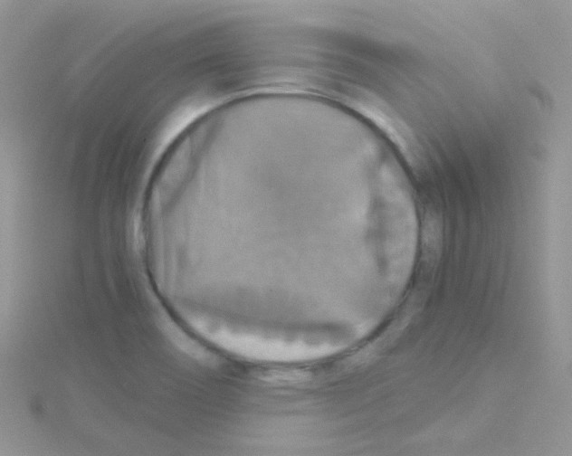 X0000114391466200911271449