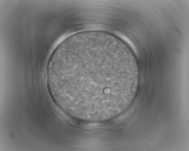 X0000114391467200911271449