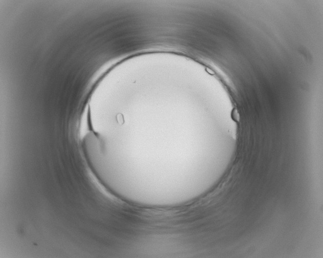 X0000114391468200911271449