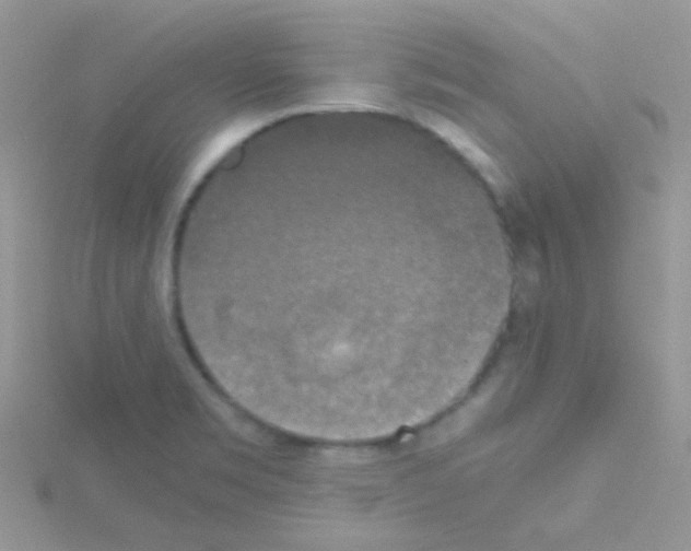 X0000114391469200911271449