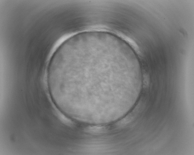 X0000114391470200911271449