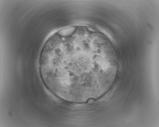 X0000114391471200911271449