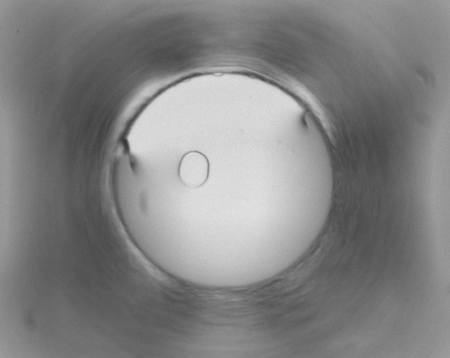 X0000114391472200911271449