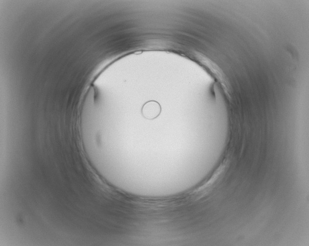 X0000114391473200911271449