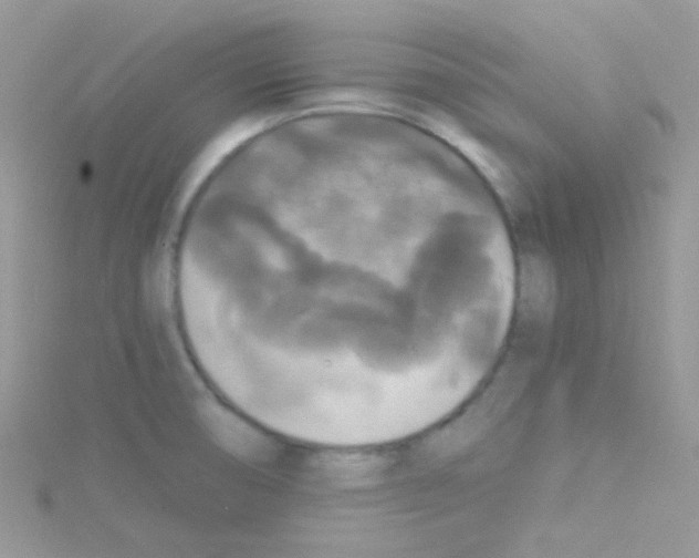 X0000114391474200911271449