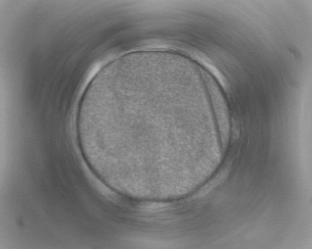 X0000114391475200911271449