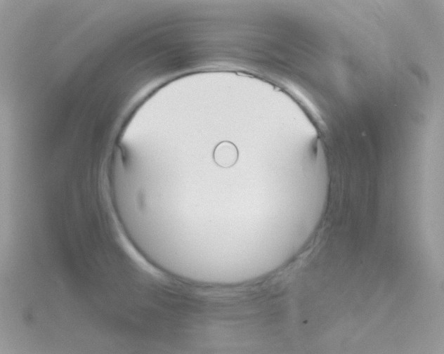 X0000114391476200911271449