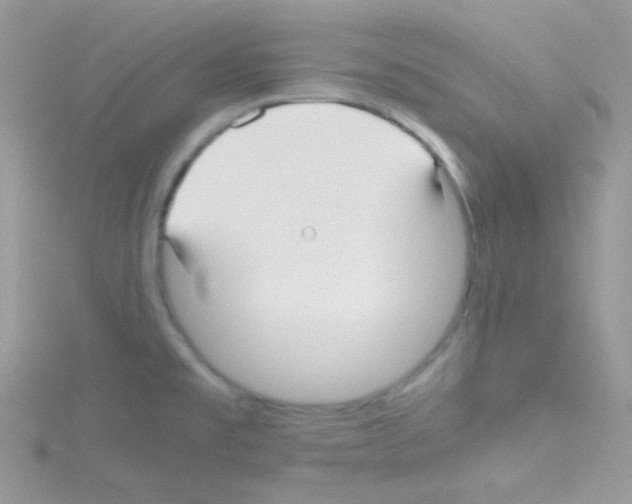 X0000114391477200911271449