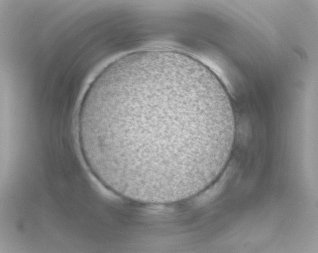 X0000114391478200911271449