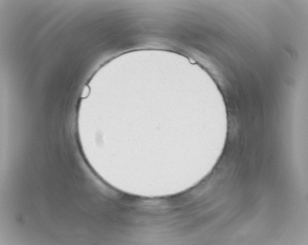 X0000114391479200911271449