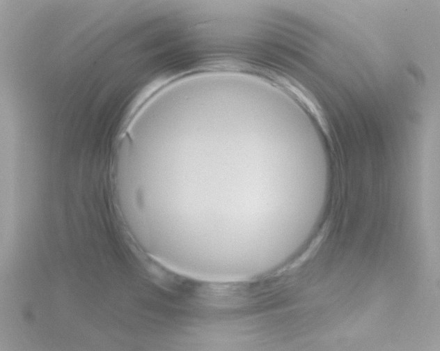 X0000114391481200911271449