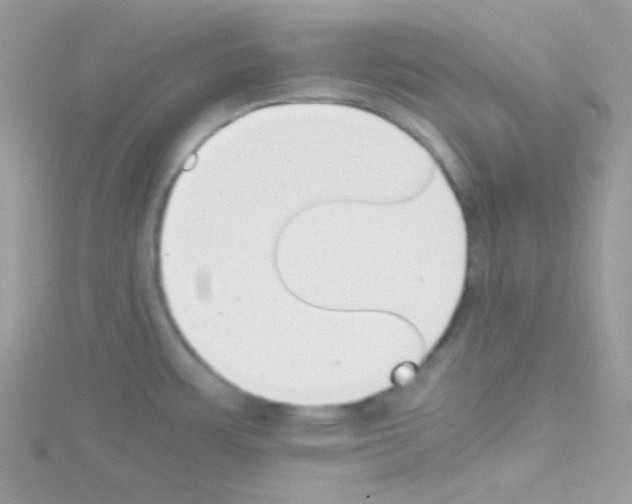 X0000114391483200911271449