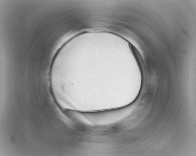 X0000114391485200911271449