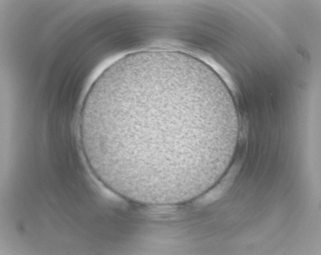 X0000114391486200911271449