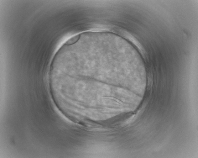 X0000114391487200911271449