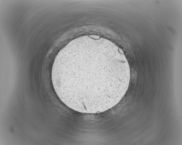 X0000114391489200911271448