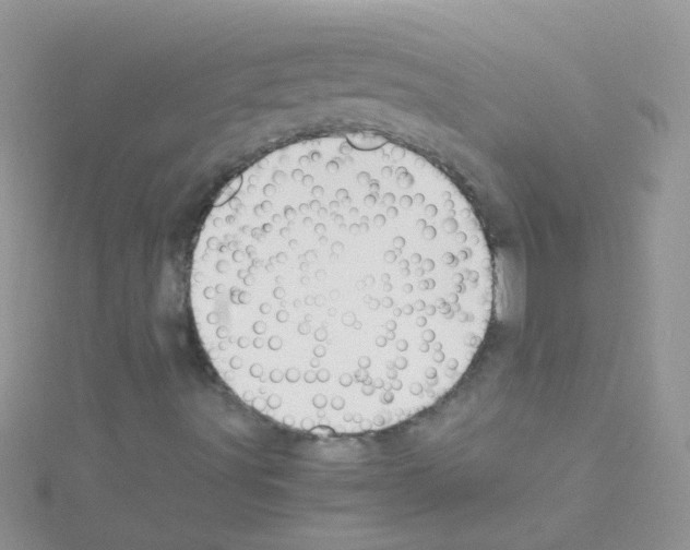 X0000114391491200911271448