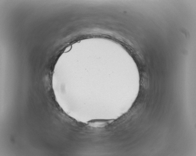 X0000114391493200911271448