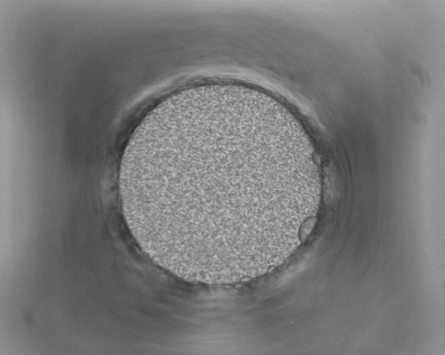 X0000114391494200911271448