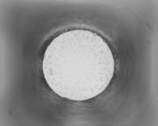 X0000114391495200911271448