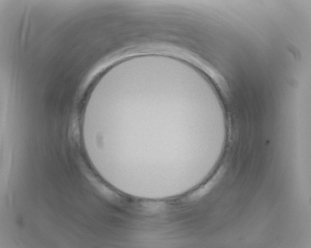 X0000114391498200911271448