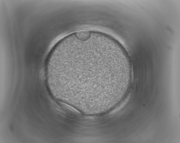 X0000114391501200911271448