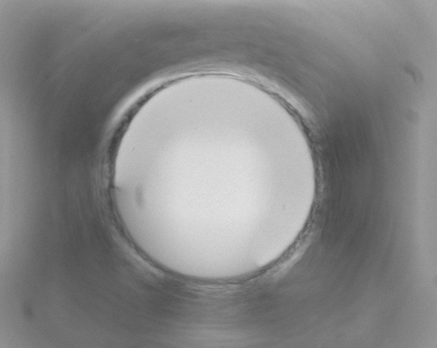 X0000114391502200911271448