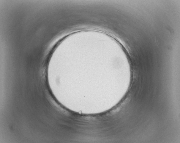 X0000114391503200911271448