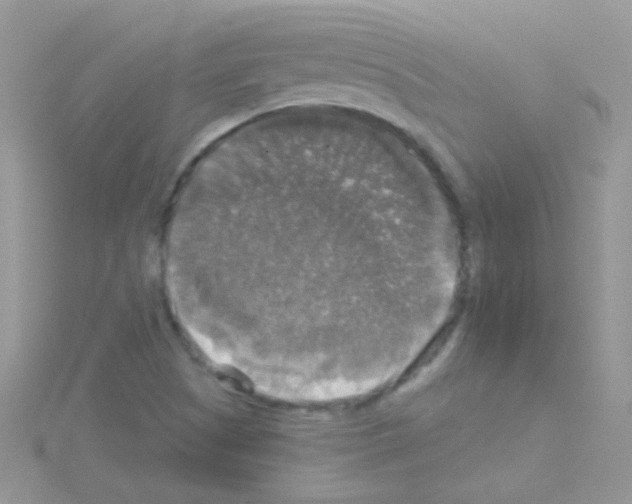 X0000114391505200911271448