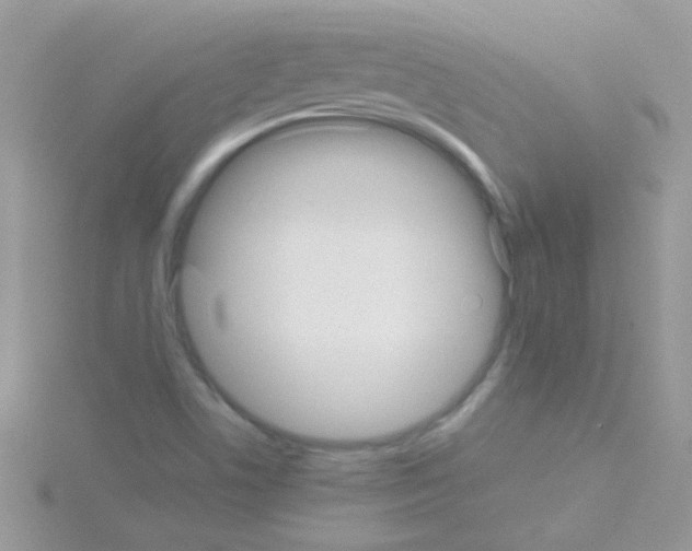 X0000114391506200911271448