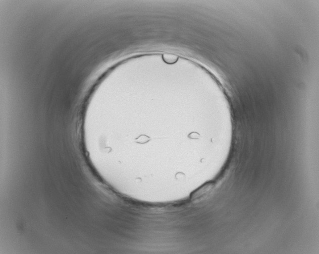 X0000114391507200911271448