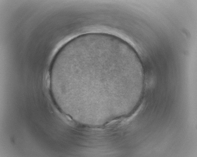 X0000114391509200911271448