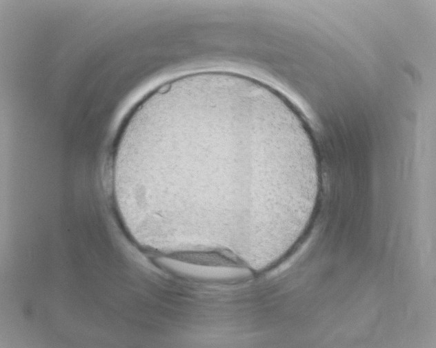 X0000114391510200911271448