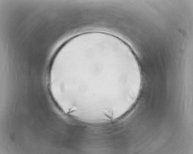 X0000114391511200911271448