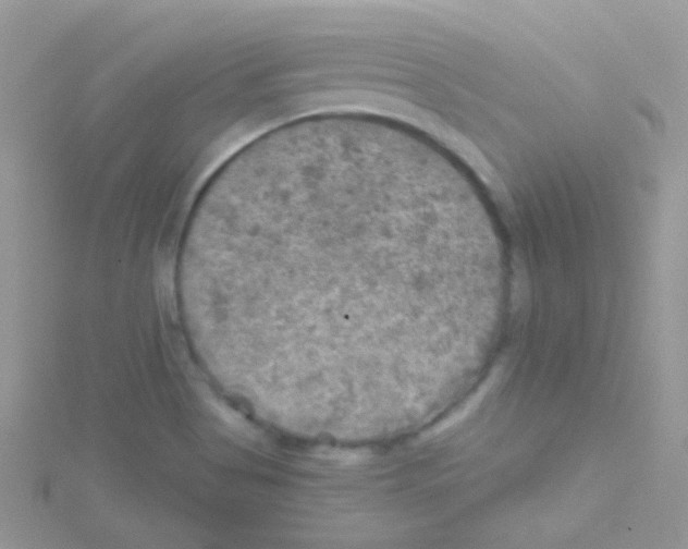 X0000114391513200911271448