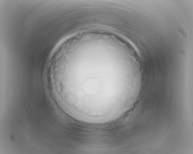 X0000114391514200911271448