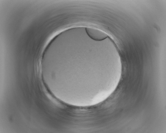 X0000114391515200911271448