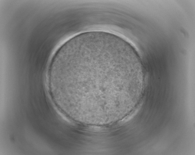 X0000114391517200911271448