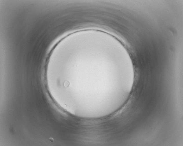 X0000114391518200911271448