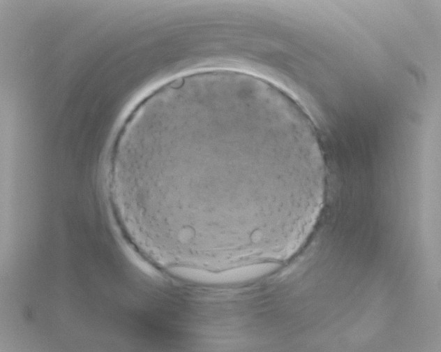 X0000114391519200911271448