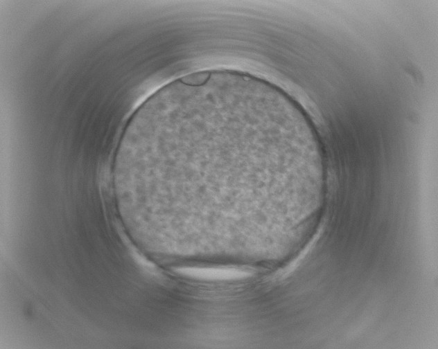 X0000114391521200911271449