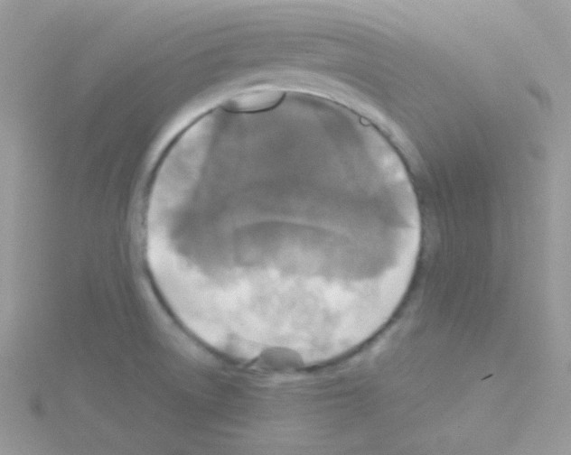 X0000114391522200911271449