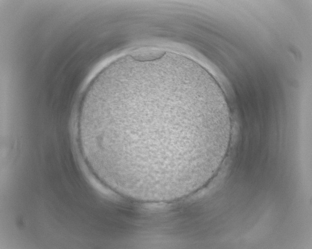 X0000114391523200911271449