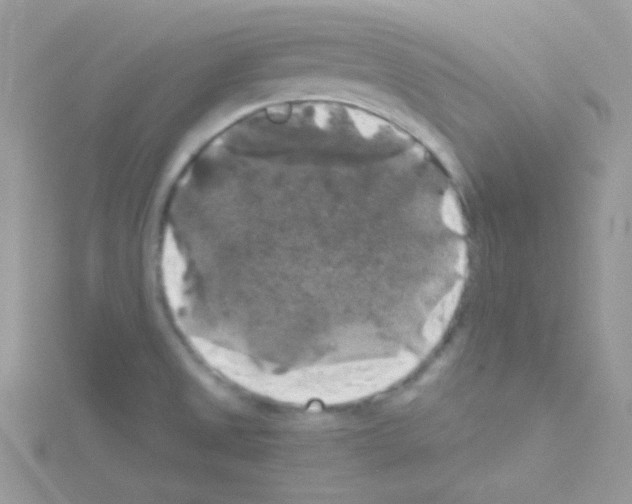 X0000114391525200911271449