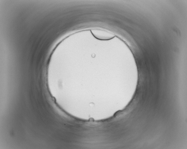 X0000114391526200911271449