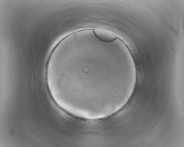 X0000114391527200911271449